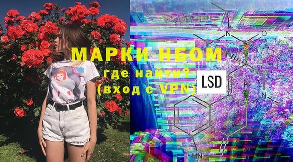 альфа пвп Нея