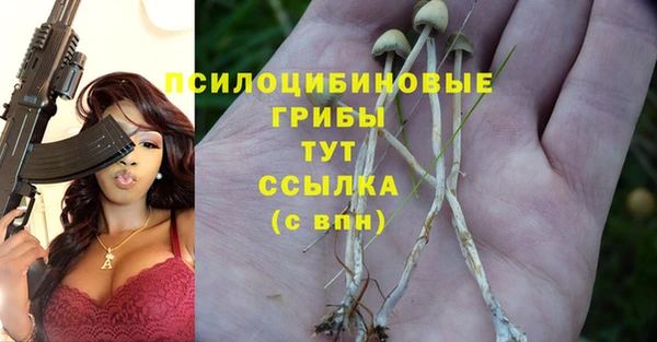 кристаллы Весьегонск
