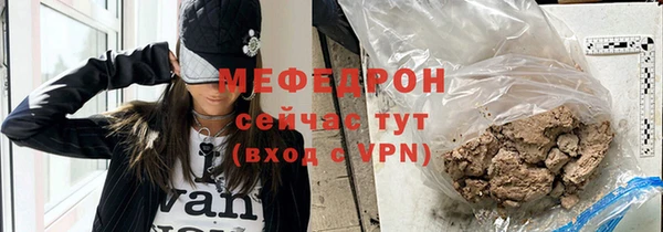 сатива Новозыбков