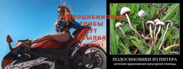 альфа пвп Нефтегорск