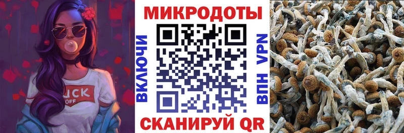 Псилоцибиновые грибы Psilocybe  закладка  Инта 